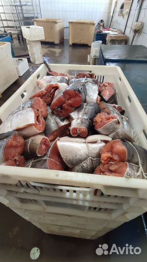 Рыба холодного копчения, морепродукты