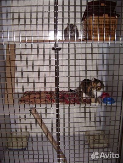 Уютная гостиница для животных 