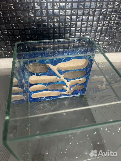 Формикарий большой