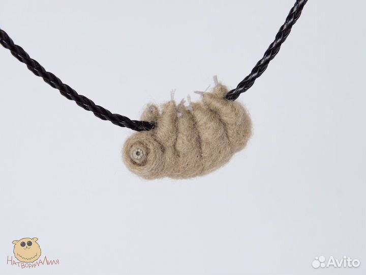 Тихоходка кулон, Подарок биологу учителю биологии