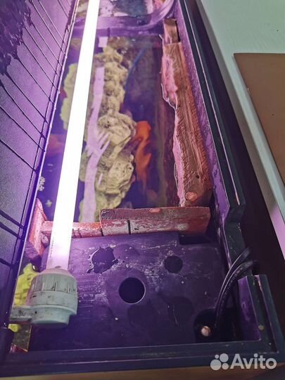 Аквариумный комплект Juwel 180л