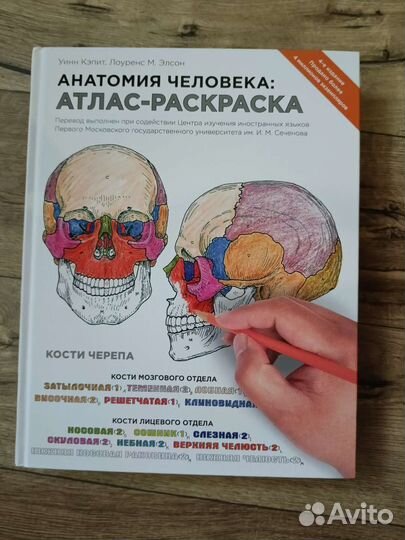 Атлас анатомии человека