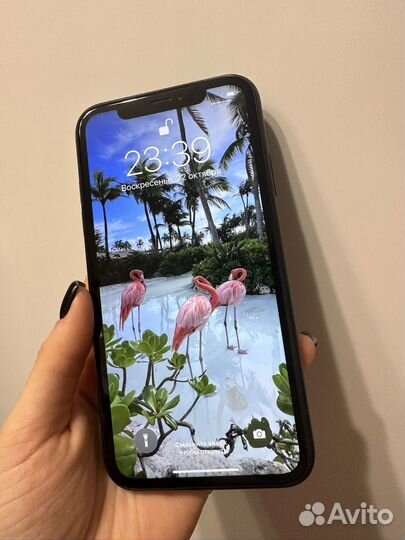iPhone Xr, 64 ГБ