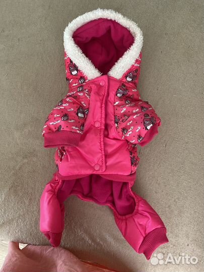 Комбинезон для маленьких собак девочек