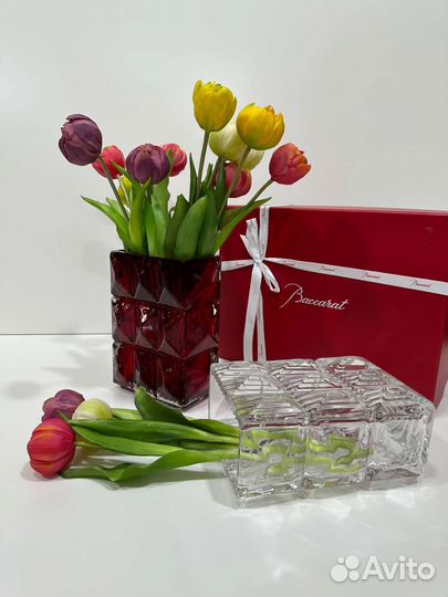 Гиппиаструм