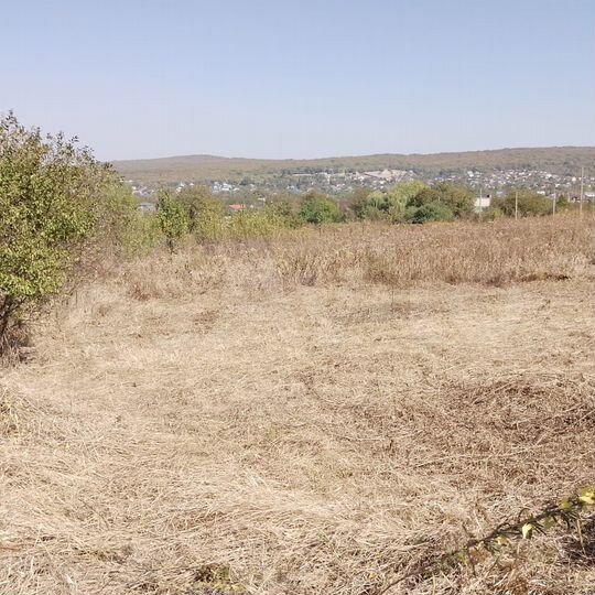 Участок 5,8 сот. (СНТ, ДНП)