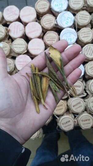 Чай Рододендрон Кавказский, Багульник 100гр