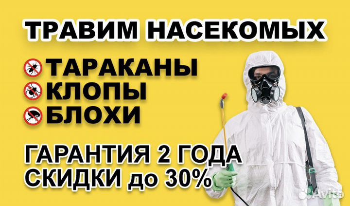 Дезинфекция
