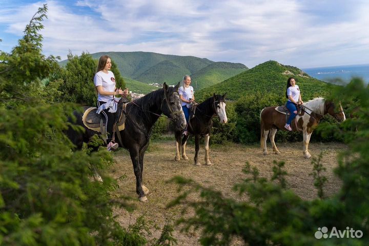 Экскурсионный тур Сукко