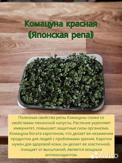 Микрозелень
