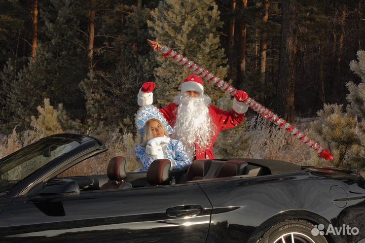 Дед мороз и снегурочка на дом