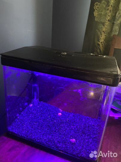 Аквариум