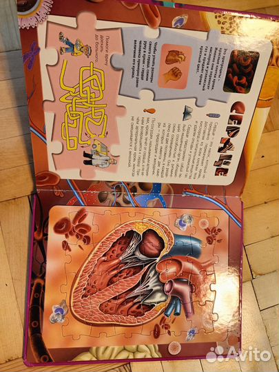Пазлы, книга с пазлами о строении человека