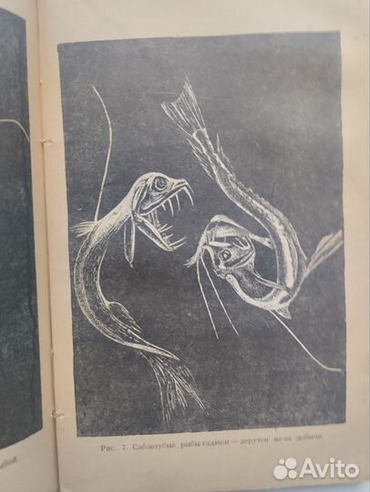 Происхождение и развитие жизни на земле 1939 год