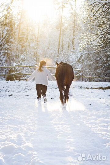 Сертификат на Конные прогулки / конные фотосессии