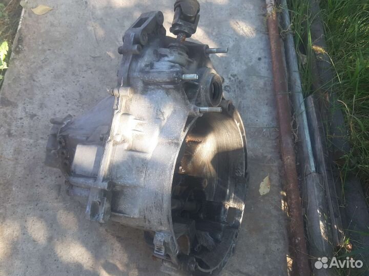 Коробка калина