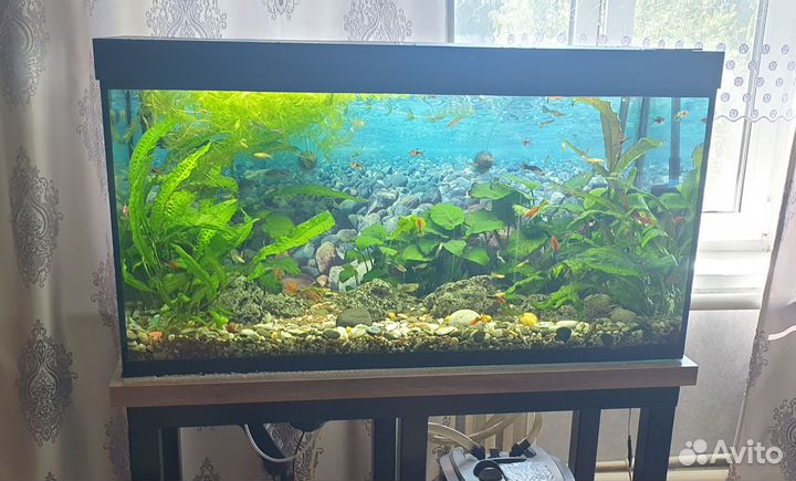 Аквариум