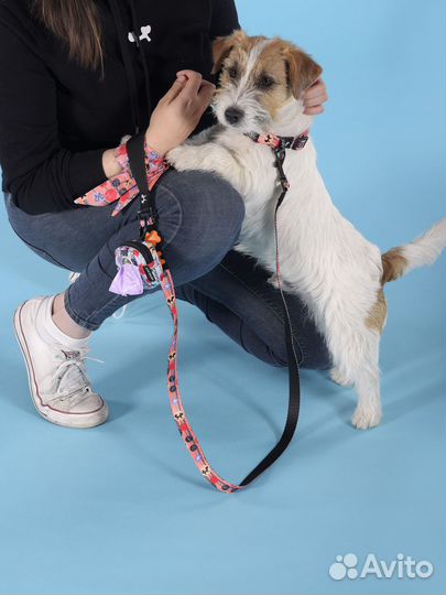 Ошейник United Pets для собак Complete me Forever