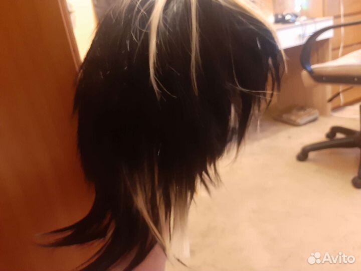 Парик на Казутора Ханемия