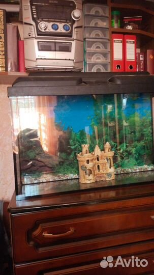 Аквариум
