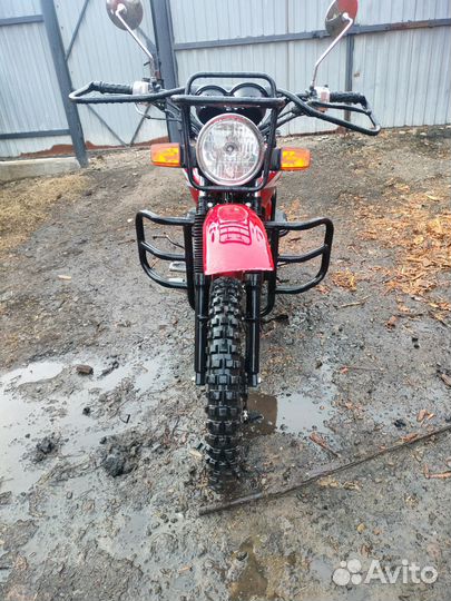 Motoland forester 200