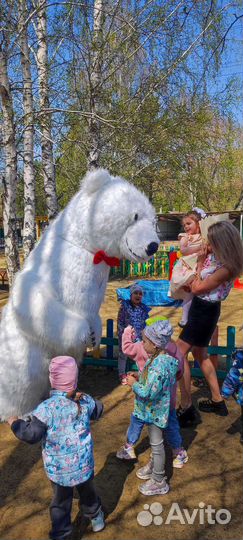Белый мишка поздравление