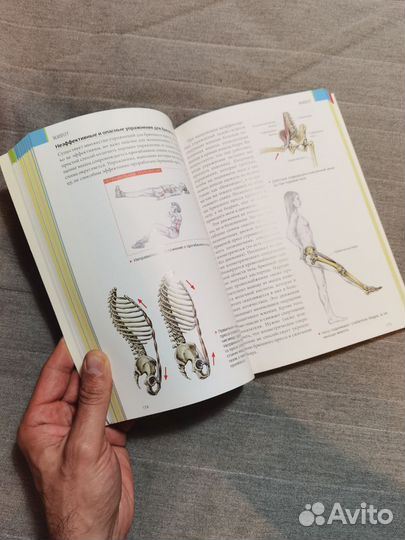 Книга Анатомия силовых тренировок для женщин