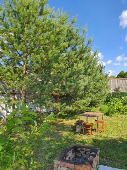 Дом 70 м² на участке 12 сот.