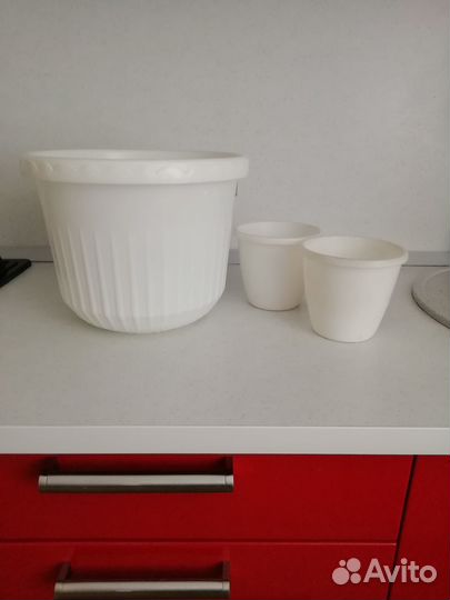 Комнатные цветы лилии и алоэ и горшки