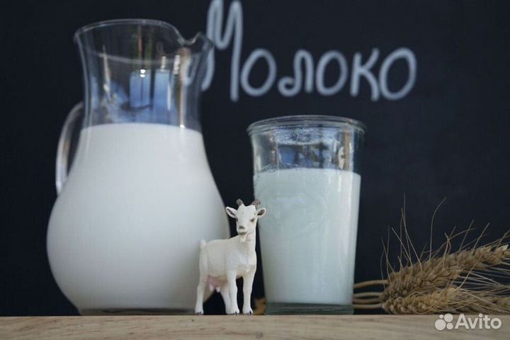 Козье молоко из деревни