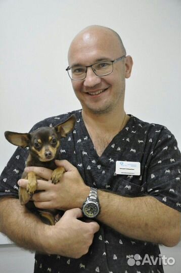 Ветеринар. Вызов ветеринарного врача на дом