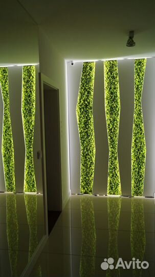 Мох в интерьере