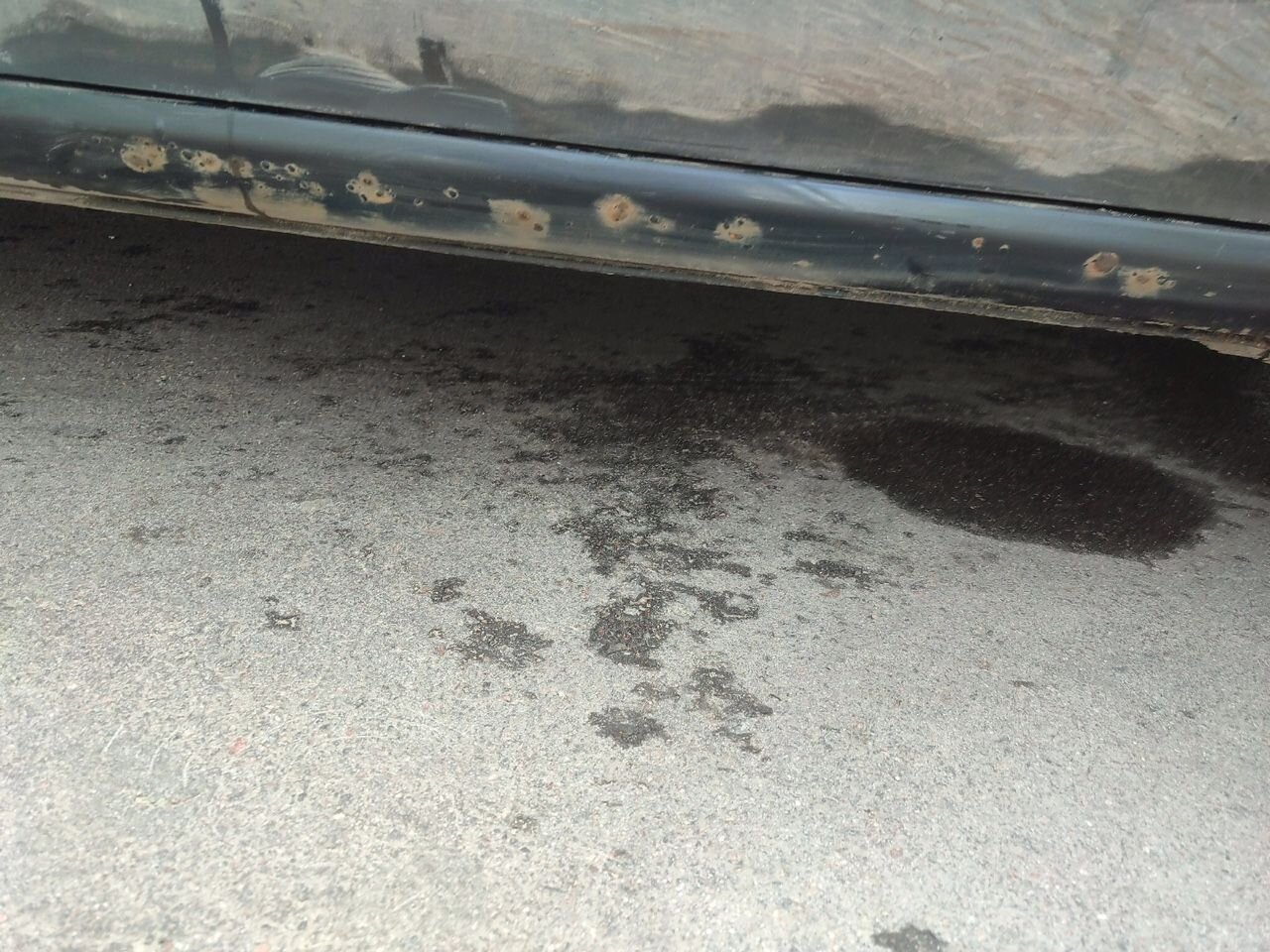 Toyota Corolla: фото владельца