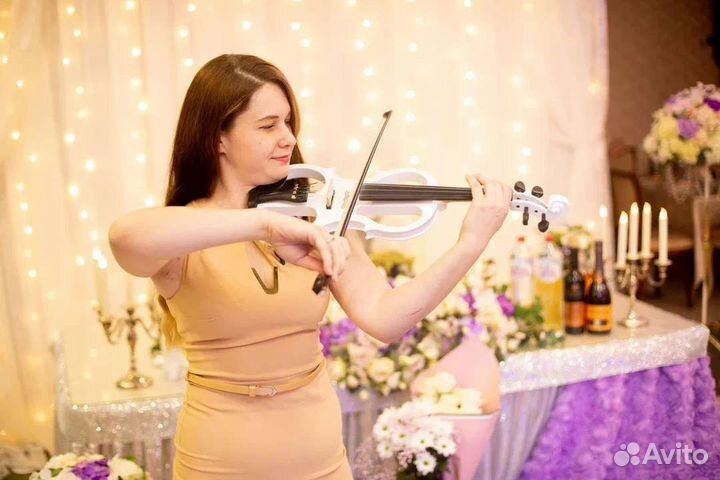 Скрипка на праздник