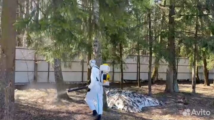 Дезинсекция уничтожение тараканов/клопов/клещей