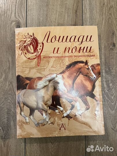 Энциклопедия лошади