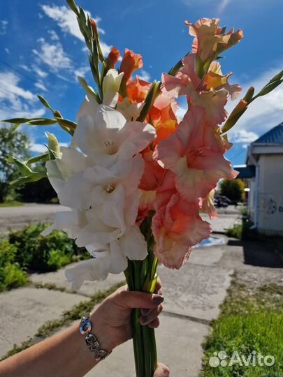 Гладиолусы букет