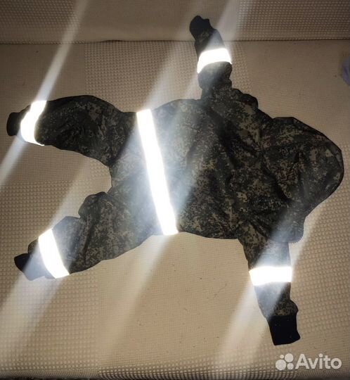 Одежда для собак