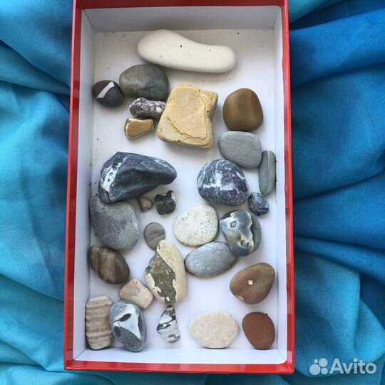 Ракушки и камушки морские