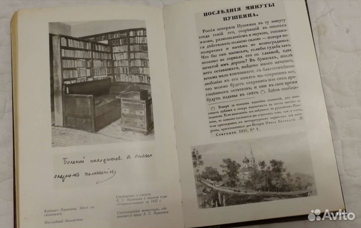 Книга Пушкин в жизни