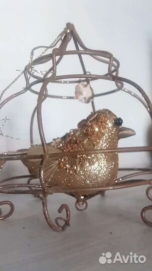 Птица в клетке