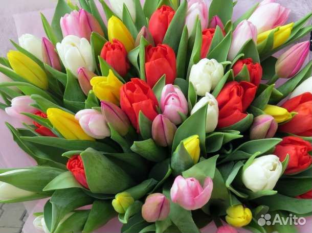 Тюльпаны к 8 марта оптом от производителя