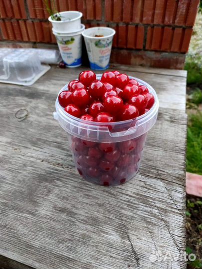 Продаю вишню