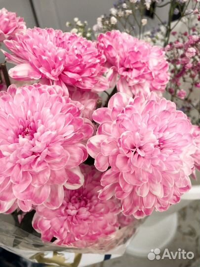 Цветы хризантемы и букеты с доставкой