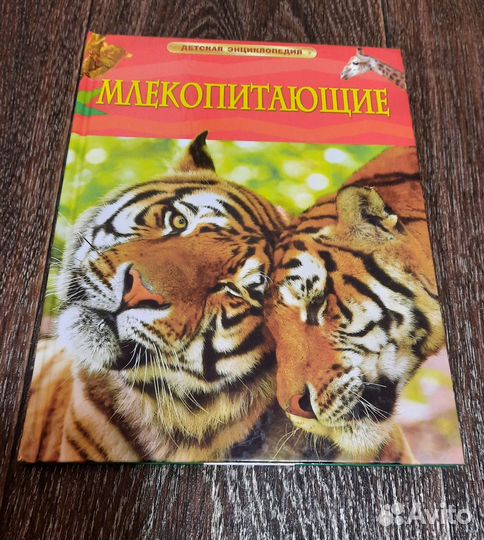 Детские книги. Энциклопедии