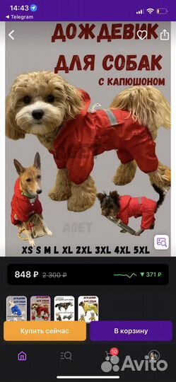 Дождевик для собак красный