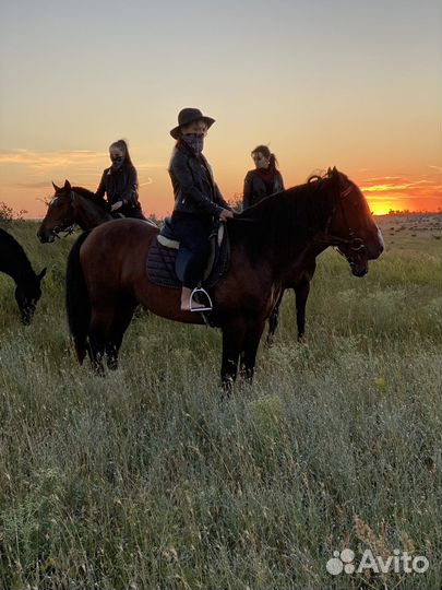 Конные прогулки