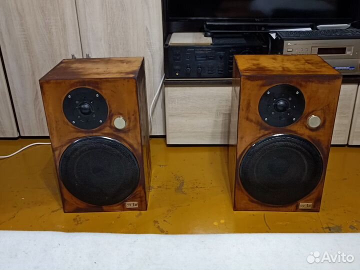 Шикарные, крупные полочники victor