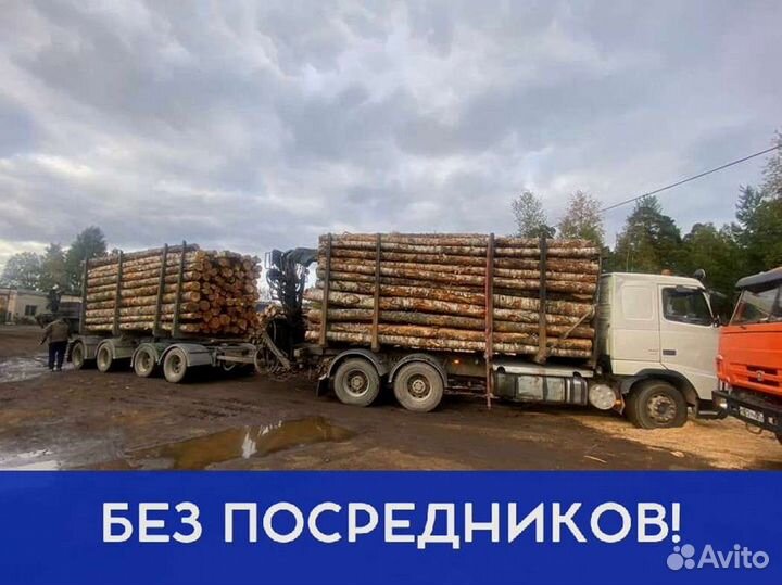 Дрова