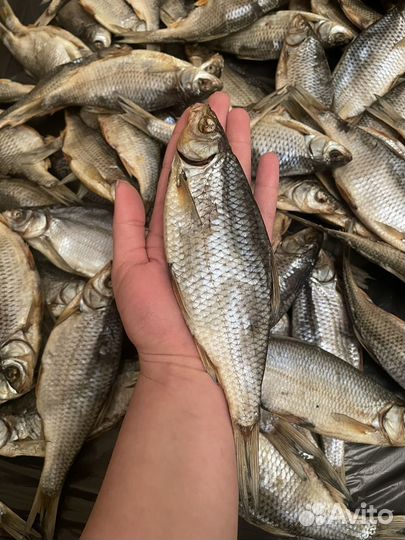 Сушеная рыба Сорога